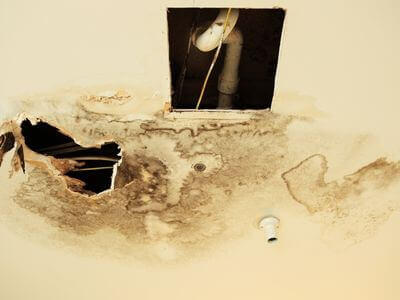 Professional ceiling water damage repair services in Hamilton - water damage cleanup